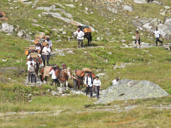 23.08.2026 Schweiz Grimselpass Saeumerfest 23 Jahre Sprinz-Route von Sachseln nach Domodossola.4.Etappe Guttannen - Obergesteln. Bild Die Saeumer mit Pferden im Aufstieg zum Grimselpass.