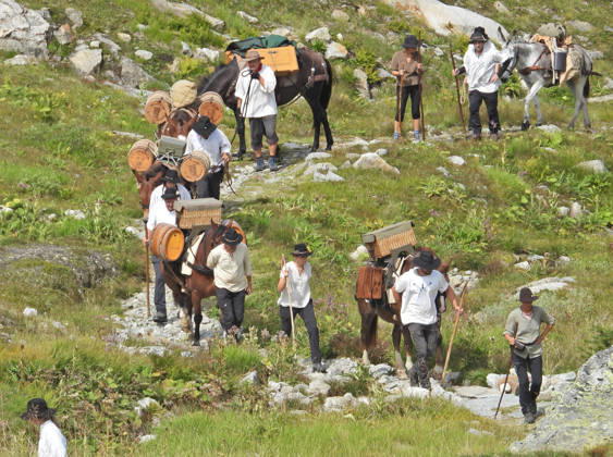 23.08.2026 Schweiz Grimselpass Saeumerfest 23 Jahre Sprinz-Route von Sachseln nach Domodossola.4.Etappe Guttannen - Obergesteln. Bild Die Saeumer mit Pferden im Aufstieg zum Grimselpass.