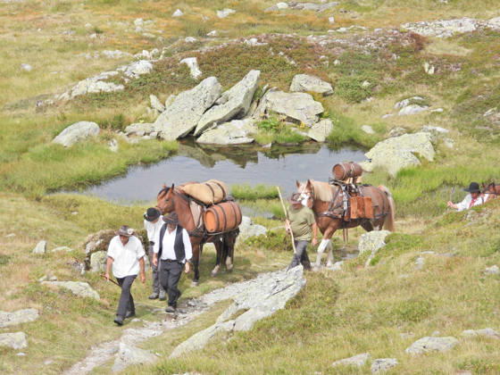 23.08.2026 Schweiz Grimselpass Saeumerfest 23 Jahre Sprinz-Route von Sachseln nach Domodossola.4.Etappe Guttannen - Obergesteln. Bild Die Saeumer mit Pferden im Aufstieg zum Grimselpass.