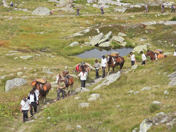 23.08.2026 Schweiz Grimselpass Saeumerfest 23 Jahre Sprinz-Route von Sachseln nach Domodossola.4.Etappe Guttannen - Obergesteln. Bild Die Saeumer mit Pferden im Aufstieg zum Grimselpass.