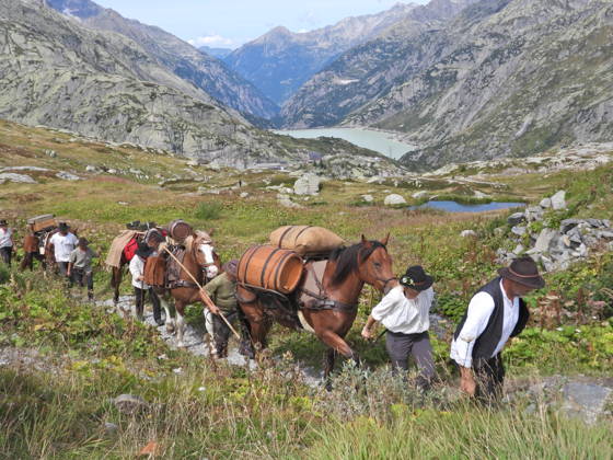23.08.2026 Schweiz Grimselpass Saeumerfest 23 Jahre Sprinz-Route von Sachseln nach Domodossola.4.Etappe Guttannen - Obergesteln. Bild Die Saeumer mit Pferden im Aufstieg zum Grimselpass.