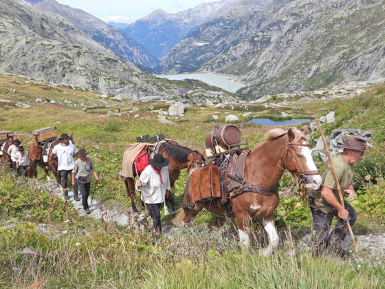 23.08.2026 Schweiz Grimselpass Saeumerfest 23 Jahre Sprinz-Route von Sachseln nach Domodossola.4.Etappe Guttannen - Obergesteln. Bild Die Saeumer mit Pferden im Aufstieg zum Grimselpass.Hinten der Raeterichsboensee.