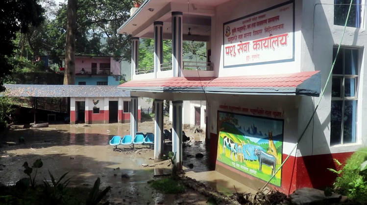 RECORD DATE NOT STATED Flash flood ravages Nepal™s Rasuwa Rasuwa Nepal , Aug 26 (ANI): An area devastated by mud-laden floodwaters following a flash flood caused by an outburst in the Bhotekoshi River, in Rasuwa on Wednesday. Around 105 Indians among the foreign nationals reported missing after the flash flood. (RSS Nepal ANI Video Grab) Rasuwa Nepal Copyright: xANIx ANI_20260826327