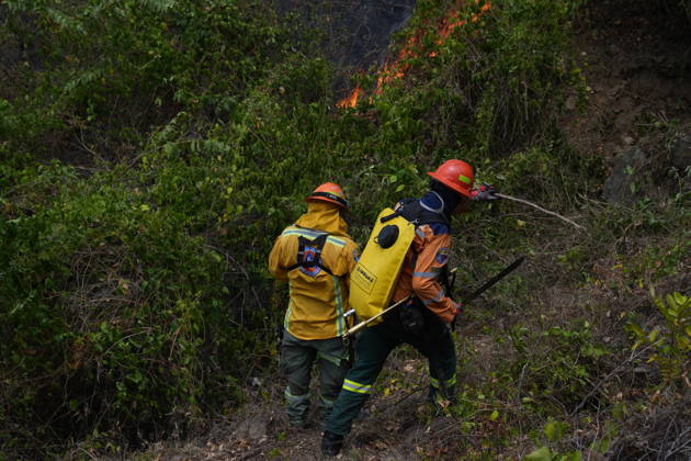 Wildfire in Colombia s Coello COELLO, COLOMBIA - AUGUST 26: Volunteers and firefighters work to contain a wildfire in Coello, Tolima department, Colombia, on August 26, 2026. Several municipalities across Tolima are facing wildfires fueled by dry conditions, high temperatures and strong winds, with emergency crews working to contain the flames and protect rural communities. Juancho Torres Anadolu Coello Colombia. Editorial use only. Please get in touch for any other usage.  Copyright: x2026xAnadoluxJuanchoxTorresx