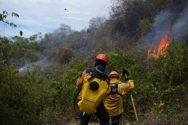 Wildfire in Colombia s Coello COELLO, COLOMBIA - AUGUST 26: Volunteers and firefighters work to contain a wildfire in Coello, Tolima department, Colombia, on August 26, 2026. Several municipalities across Tolima are facing wildfires fueled by dry conditions, high temperatures and strong winds, with emergency crews working to contain the flames and protect rural communities. Juancho Torres Anadolu Coello Colombia. Editorial use only. Please get in touch for any other usage.  Copyright: x2026xAnadoluxJuanchoxTorresx