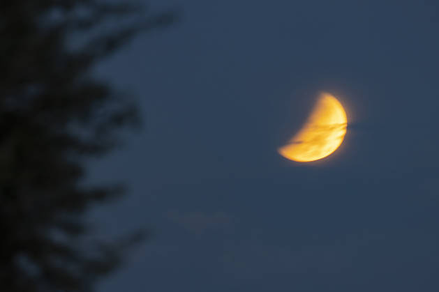 Partial lunar eclipse observed in Istanbul ISTANBUL, TURKIYE - AUGUST 28: A partial lunar eclipse, which occurs when part of the Moon passes through Earth s shadow, is seen over Istanbul, Turkiye, on August 28, 2026. Isa Terli Anadolu Istanbul Turkey. Editorial use only. Please get in touch for any other usage.  Copyright: x2026xAnadoluxIsaxTerlix