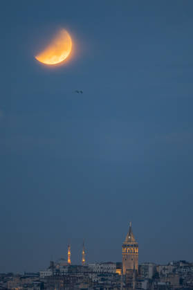Partial lunar eclipse observed in Istanbul ISTANBUL, TURKIYE - AUGUST 28: A partial lunar eclipse is seen above the Galata Tower as birds fly across the sky in Istanbul, Turkiye, on August 28, 2026. Ahmet Okatali Anadolu Istanbul Turkey. Editorial use only. Please get in touch for any other usage.  Copyright: x2026xAnadoluxAhmetxOkatalix
