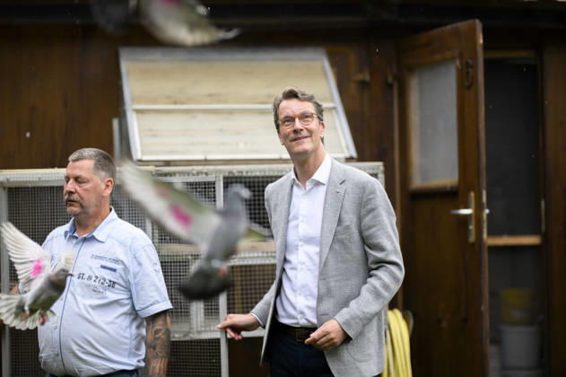 Ministerpräsident Hendrik Wüst lässt Tauben fliegen. Besucht des Taubenzüchterverein RV Gelsenkirchen 1894 e.V. NRW Ministerpräsident Hendrik Wüst (CDU) besucht die Stadt Gelsenkirchen, am 28.08.2026 in Gelsenkirchen Deutschland. Veltins-Arena
