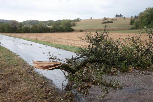 Schweres Unwetter in Baden-Württemberg, Ein heftiges Unwetter zieht über weite Teile Baden-Württembergs. Dunkle Gewitterwolken, Starkregen, zahlreiche Blitze und teils kräftige Windböen prägen die Wetterlage. Örtlich können die Gewitter besonders intensiv ausfallen. Sonnenbühl Baden-Württemberg Deutschland Sonnenbühl