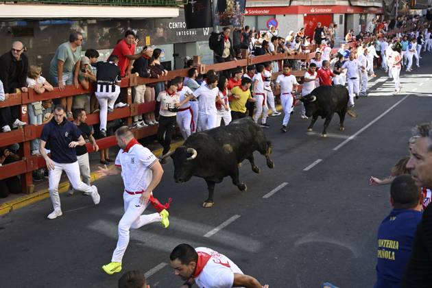 Fifth Bull Run Held in San Sebastian de los Reyes SAN SEBASTIAN DE LOS REYES, SPAIN AUGUST 28, 2026: Participants run alongside fighting bulls during the fifth bull run of the town™s annual festivities in San Sebastian de los Reyes, near Madrid, Spain. San Sebastian de los Reyes ES Copyright: x xTomasxCallex xJNAxPressx