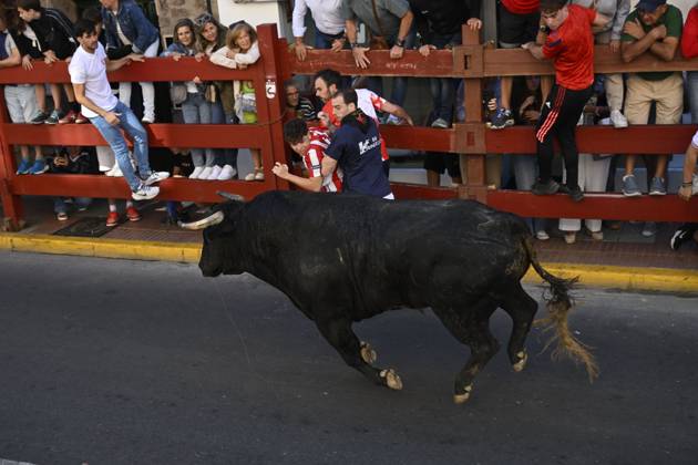 Fifth Bull Run Held in San Sebastian de los Reyes SAN SEBASTIAN DE LOS REYES, SPAIN AUGUST 28, 2026: Participants run alongside fighting bulls during the fifth bull run of the town™s annual festivities in San Sebastian de los Reyes, near Madrid, Spain. San Sebastian de los Reyes ES Copyright: x xTomasxCallex xJNAxPressx