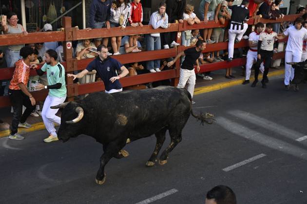 Fifth Bull Run Held in San Sebastian de los Reyes SAN SEBASTIAN DE LOS REYES, SPAIN AUGUST 28, 2026: Participants run alongside fighting bulls during the fifth bull run of the town™s annual festivities in San Sebastian de los Reyes, near Madrid, Spain. San Sebastian de los Reyes ES Copyright: x xTomasxCallex xJNAxPressx