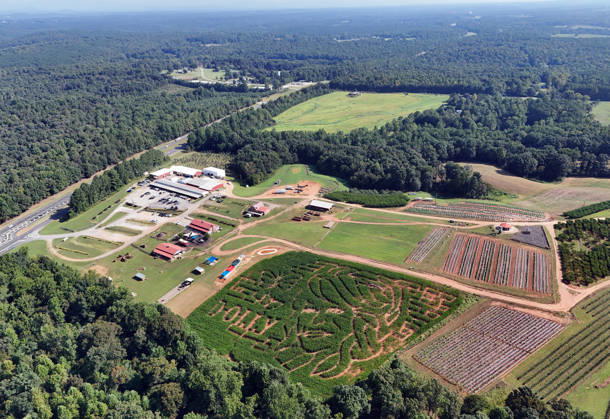 August 28, 2026, Alto, Georgia, USA: Dolly Parton corn maze at Jaemor Farms. Alto, Georgia. August 28, 2026 Alto USA  - ZUMAs380 20260828_zep_s380_007 Copyright: xDerekxStormx