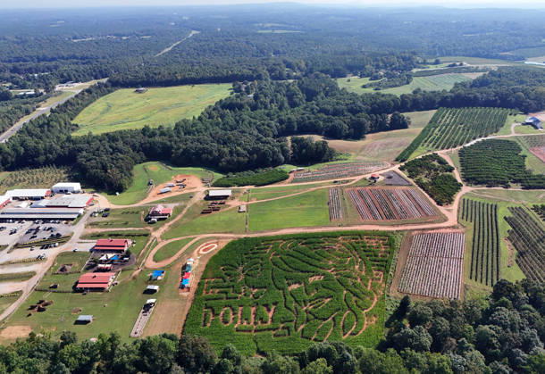 August 28, 2026, Alto, Georgia, USA: Dolly Parton corn maze at Jaemor Farms. Alto, Georgia. August 28, 2026 Alto USA  - ZUMAs380 20260828_zep_s380_008 Copyright: xDerekxStormx