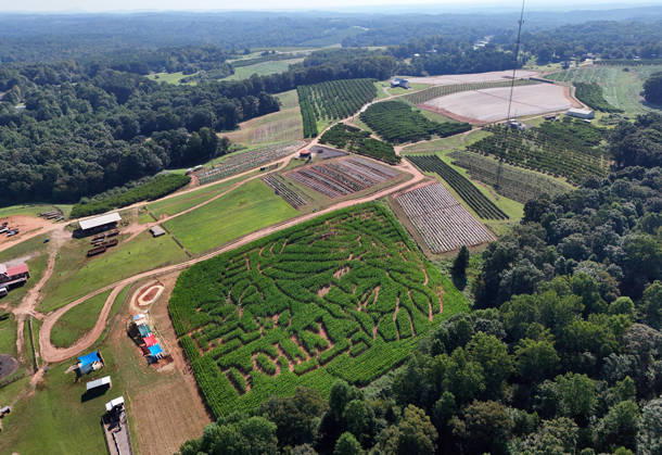 August 28, 2026, Alto, Georgia, USA: Dolly Parton corn maze at Jaemor Farms. Alto, Georgia. August 28, 2026 Alto USA - ZUMAs380 20260828_zep_s380_009 Copyright: xDerekxStormx