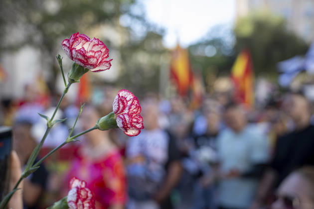 Ceuta Residents Throw Carnations at the Gates of the Government Delegation as a Symbol of Protest Numerous people carry carnations and Spanish flags during a demonstration in front of the Government Delegation on August 28, 2026, in Ceuta, Spain. About a hundred Ceuta residents gathered this afternoon outside the Government Delegation carrying carnations and flags of Ceuta and Spain in a protest aimed at highlighting the peaceful nature of the citizen demonstrations that have emerged in recent days in the wake of the migration crisis that the city is currently facing. AUGUST 28, 2026 MIGRATION CRISIS Ceuta Ceuta, Spain  Copyright: xMarcosxMorenox 7736509