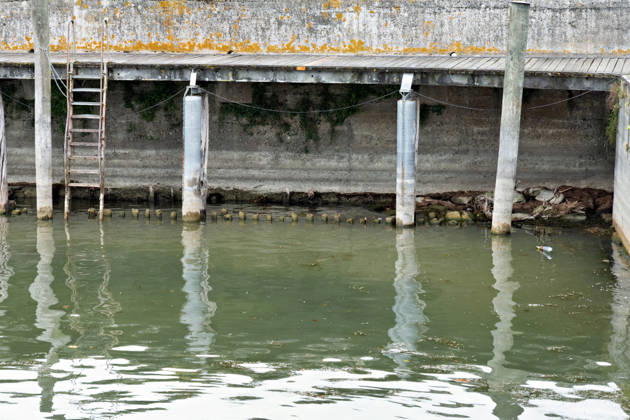Langenargen Niedrigwasser am Bodensee in Langenargen Langenargen, Baden-Württemberg, Deutschland, 28.08.2026. Niedrigwasser am Bodensee im Bereich des Gemeindehafens von Langenargen. An der Hafenmauer ist der deutlich abgesunkene Wasserstand besonders gut zu erkennen. Die helle Zone an der Mauer zeigt, bis zu welcher Höhe das Wasser bei normalem beziehungsweise höherem Pegelstand reicht. Der aktuelle Wasserstand liegt deutlich darunter und legt Teile der Hafenmauer und der Uferbefestigung frei. Das Motiv dokumentiert den niedrigen Pegelstand des Bodensees im Spätsommer 2026. Copyright: xEibner-Pressefotox EP_EER