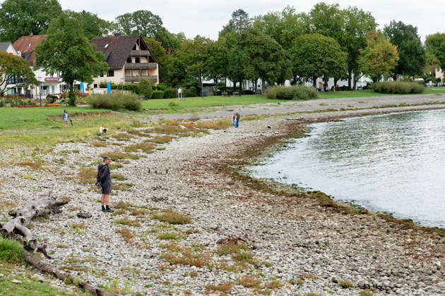 Langenargen Niedrigwasser am Bodensee in Langenargen Langenargen, Baden Württemberg, Deutschland, 28.08.2026. Niedrigwasser am Bodensee im Bereich des Gemeindehafens von Langenargen. Durch den niedrigen Wasserstand ist ein ungewöhnlich breiter Kies und Steinbereich am Ufer freigelegt. Spaziergänger bewegen sich auf Flächen, die bei höherem Wasserstand vom Bodensee bedeckt sind. Das Motiv dokumentiert den niedrigen Pegelstand des Bodensees im Spätsommer 2026. Copyright: xEibner-Pressefotox EP_EER