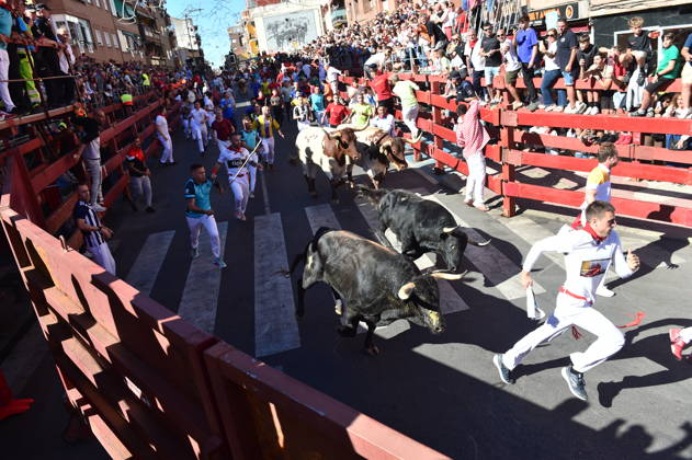 Sixth bull run of the San Sebastián de los Reyes festival in Madrid. Runners during the sixth bull run of the San Sebastián de los Reyes festival, featuring bulls from the Núnez de Tarifa ranch, on August 29, 2026, in San Sebastián de los Reyes, Madrid, Spain. This is one of the most iconic events of the patron saint festivities in honor of the Santísimo Cristo de los Remedios. The route is 820 meters long and runs from the pens to the bullring, drawing thousands of runners and spectators. During these days, there is also a nighttime bull run, bull releases, contests, and visits to the pens to see the bulls before the races. AUGUST 29, 2026 BULLS San Sebastián de los Reyes, Madrid San Sebastián de los Reyes, Madrid, Spain  Copyright: xGustavoxValientex 7736704