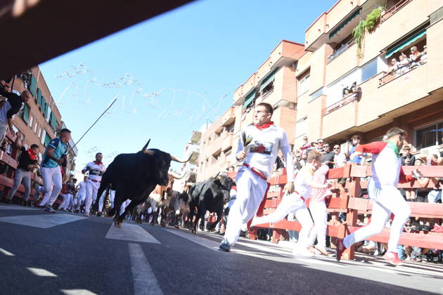 Sixth bull run of the San Sebastián de los Reyes festival in Madrid. Runners during the sixth bull run of the San Sebastián de los Reyes festival, featuring bulls from the Núnez de Tarifa ranch, on August 29, 2026, in San Sebastián de los Reyes, Madrid, Spain. This is one of the most iconic events of the patron saint festivities in honor of the Santísimo Cristo de los Remedios. The route is 820 meters long and runs from the pens to the bullring, drawing thousands of runners and spectators. During these days, there is also a nighttime bull run, bull releases, contests, and visits to the pens to see the bulls before the races. AUGUST 29, 2026 BULLS San Sebastián de los Reyes, Madrid San Sebastián de los Reyes, Madrid, Spain  Copyright: xGustavoxValientex 7736703