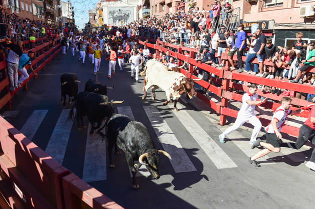 Sixth bull run of the San Sebastián de los Reyes festival in Madrid. Runners during the sixth bull run of the San Sebastián de los Reyes festival, featuring bulls from the Núnez de Tarifa ranch, on August 29, 2026, in San Sebastián de los Reyes, Madrid, Spain. This is one of the most iconic events of the patron saint festivities in honor of the Santísimo Cristo de los Remedios. The route is 820 meters long and runs from the pens to the bullring, drawing thousands of runners and spectators. During these days, there is also a nighttime bull run, a bull release, contests, and visits to the pens to see the bulls before the races. AUGUST 29, 2026 BULLS San Sebastián de los Reyes, Madrid San Sebastián de los Reyes, Madrid, Spain  Copyright: xGustavoxValientex 7736936