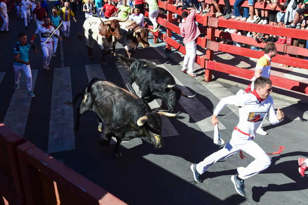 Sixth bull run of the San Sebastián de los Reyes festival in Madrid. Runners during the sixth bull run of the San Sebastián de los Reyes festival, featuring bulls from the Núnez de Tarifa ranch, on August 29, 2026, in San Sebastián de los Reyes, Madrid, Spain. This is one of the most iconic events of the patron saint festivities in honor of the Santísimo Cristo de los Remedios. The route is 820 meters long and runs from the pens to the bullring, drawing thousands of runners and spectators. During these days, there is also a nighttime bull run, a bull release, contests, and visits to the pens to see the bulls before the races. AUGUST 29, 2026 BULLS San Sebastián de los Reyes, Madrid San Sebastián de los Reyes, Madrid, Spain  Copyright: xGustavoxValientex 7736937