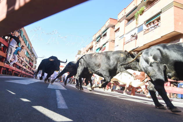 Sixth bull run of the San Sebastián de los Reyes festival in Madrid. Runners during the sixth bull run of the San Sebastián de los Reyes festival, featuring bulls from the Núnez de Tarifa ranch, on August 29, 2026, in San Sebastián de los Reyes, Madrid, Spain. This is one of the most iconic events of the patron saint festivities in honor of the Santísimo Cristo de los Remedios. The route is 820 meters long and runs from the pens to the bullring, drawing thousands of runners and spectators. During these days, there is also a nighttime bull run, a bull release, contests, and visits to the pens to see the bulls before the races. AUGUST 29, 2026 BULLS San Sebastián de los Reyes, Madrid San Sebastián de los Reyes, Madrid, Spain  Copyright: xGustavoxValientex 7736938