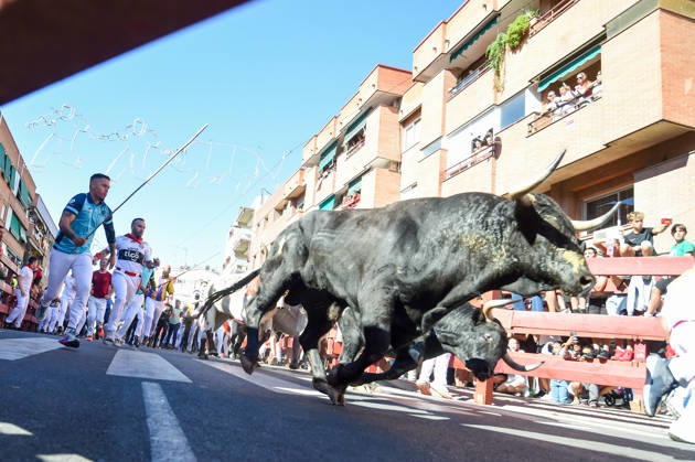 Sixth bull run of the San Sebastián de los Reyes festival in Madrid. Runners during the sixth bull run of the San Sebastián de los Reyes festival, featuring bulls from the Núnez de Tarifa ranch, on August 29, 2026, in San Sebastián de los Reyes, Madrid, Spain. This is one of the most iconic events of the patron saint festivities in honor of the Santísimo Cristo de los Remedios. The route is 820 meters long and runs from the pens to the bullring, drawing thousands of runners and spectators. During these days, there is also a nighttime bull run, a bull release, contests, and visits to the pens to see the bulls before the races. AUGUST 29, 2026 BULLS San Sebastián de los Reyes, Madrid San Sebastián de los Reyes, Madrid, Spain  Copyright: xGustavoxValientex 7736939