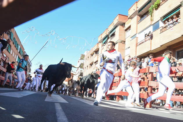Sixth bull run of the San Sebastián de los Reyes festival in Madrid. Runners during the sixth bull run of the San Sebastián de los Reyes festival, featuring bulls from the Núnez de Tarifa ranch, on August 29, 2026, in San Sebastián de los Reyes, Madrid, Spain. This is one of the most iconic events of the patron saint festivities in honor of the Santísimo Cristo de los Remedios. The route is 820 meters long and runs from the pens to the bullring, drawing thousands of runners and spectators. During these days, there is also a nighttime bull run, a bull release, contests, and visits to the pens to see the bulls before the races. AUGUST 29, 2026 BULLS San Sebastián de los Reyes, Madrid San Sebastián de los Reyes, Madrid, Spain  Copyright: xGustavoxValientex 7736940