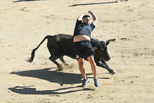 Sixth bull run of the San Sebastián de los Reyes festival in Madrid. Runners in the bullring during the sixth bull run of the San Sebastián de los Reyes festival, featuring bulls from the Núnez de Tarifa ranch, on August 29, 2026, in San Sebastián de los Reyes, Madrid, Spain. This is one of the most iconic events of the patron saint festivities in honor of the Santísimo Cristo de los Remedios. The route is 820 meters long and runs from the pens to the bullring, drawing thousands of runners and spectators. During these days, there is also a nighttime bull run, bull releases, contests, and visits to the pens to see the bulls before the races. AUGUST 29, 2026 BULLS San Sebastián de los Reyes, Madrid San Sebastián de los Reyes, Madrid, Spain Copyright: xGustavoxValientex 7736942