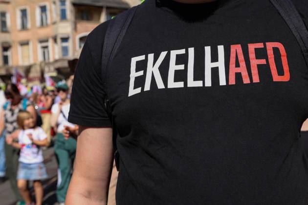 August 29, 2026, Halle, Saxony-Anhalt, Germany: A participant wears a T-shirt reading Ã¢â‚¬oeEKELHAFD,Ã¢â‚¬Â a play on the German word ekelhaft (Ã¢â‚¬oedisgustingÃ¢â‚¬Â) incorporating the abbreviation AfD, during an anti-AfD rally attended by around 1,500 people in Halle. Halle Germany  - ZUMAc291 20260829_zip_c291_002 Copyright: xMariaxCastrox