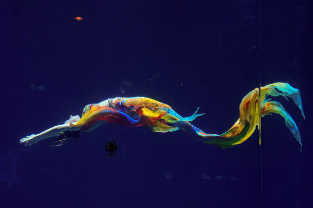 LINGSHUI, CHINA - AUGUST 29: Xu Shenjie of Team China competes in the women s individual mermaid dance preliminary round during 2026 China Mermaid Open (Lingshui Station) at Hainan Ocean Paradise Resort on August 29, 2026 in Lingshui, Hainan Province of China.  Copyright: xChinaxNewsxServicex 111662890378