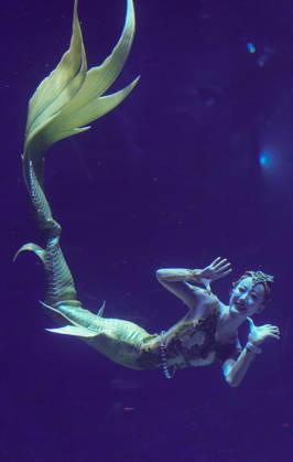 LINGSHUI, CHINA - AUGUST 29: Yang Lu of Team China competes in the women s individual mermaid dance preliminary round during 2026 China Mermaid Open (Lingshui Station) at Hainan Ocean Paradise Resort on August 29, 2026 in Lingshui, Hainan Province of China.  Copyright: xChinaxNewsxServicex 111662890661