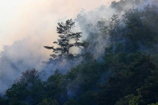 RUSSIA, REPUBLIC OF CRIMEA - AUGUST 30, 2026: Smoke billows from a burning forest on Chishma-Kaya Rocks in the vicinity of Mangul-Kale in the Bakhchisarai District. Maxim Churusov TASS  96853066