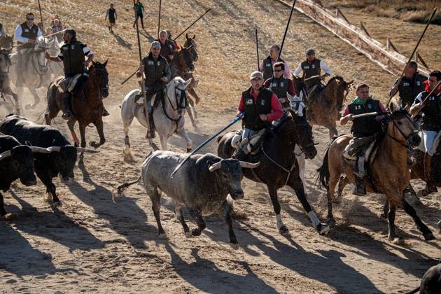 Traditional bull runs begin in CuÃ llar, Spain CUELLAR, SEGOVIA, SPAIN, AUGUST 30, 2026: Bulls and horsemen descend from the hills during the start of the traditional bull runs in CuÃ llar, Segovia. The town™s bull-running festivities are considered among the oldest of their kind in Spain, with historical records dating back to the 13th century. CuÃ llar Spain Copyright: x xVictorxSanjuanxCardenax xJNAxPressx