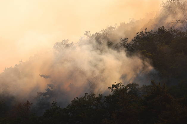 RUSSIA, REPUBLIC OF CRIMEA - AUGUST 30, 2026: Smoke billows from a burning forest on the slopes of the Chishma-Kaya Plateau in the vicinity of Mangul-Kale in the Bakhchisarai District Russia - ZUMAt113 20260830_zaa_t113_173 Copyright: xMaximxChurusovx