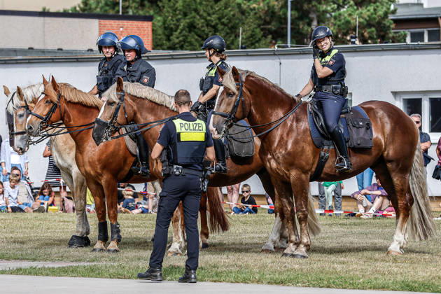 75 Jahre Bundespolizei - Bürgerfest der Bundespolizeidirektion Hannover Vorführung von Dienstpferden der Reiterstaffel der Polizei Hannover und deren Ausbildung: Hannover Bundespolizeidirektion Hannover, Niedersachsen, Region Hannover Germany