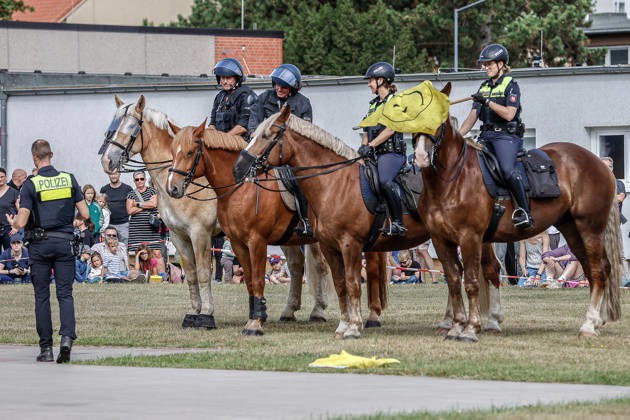 75 Jahre Bundespolizei - Bürgerfest der Bundespolizeidirektion Hannover Vorführung von Dienstpferden der Reiterstaffel der Polizei Hannover und deren Ausbildung: Training mit verschiedenen Flaggen. Gewöhnung der Pferde an Flaggen. Hannover Bundespolizeidirektion Hannover, Niedersachsen, Region Hannover Germany