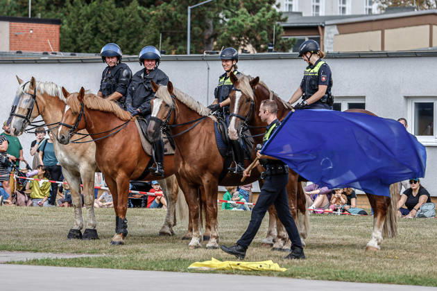 75 Jahre Bundespolizei - Bürgerfest der Bundespolizeidirektion Hannover Vorführung von Dienstpferden der Reiterstaffel der Polizei Hannover und deren Ausbildung: Training mit verschiedenen Flaggen. Gewöhnung der Pferde an Flaggen. Hannover Bundespolizeidirektion Hannover, Niedersachsen, Region Hannover Germany