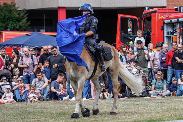 75 Jahre Bundespolizei - Bürgerfest der Bundespolizeidirektion Hannover Vorführung von Dienstpferden der Reiterstaffel der Polizei Hannover und deren Ausbildung: Training mit verschiedenen Flaggen. Gewöhnung der Pferde an Flaggen. Hannover Bundespolizeidirektion Hannover, Niedersachsen, Region Hannover Germany