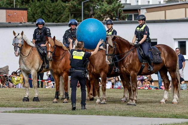 75 Jahre Bundespolizei - Bürgerfest der Bundespolizeidirektion Hannover Vorführung von Dienstpferden der Reiterstaffel der Polizei Hannover und deren Ausbildung: Training und Gewöhnung an zugeworfene Bälle. Hannover Bundespolizeidirektion Hannover, Niedersachsen, Region Hannover Germany