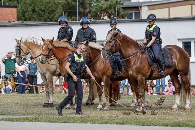 75 Jahre Bundespolizei - Bürgerfest der Bundespolizeidirektion Hannover Vorführung von Dienstpferden der Reiterstaffel der Polizei Hannover und deren Ausbildung: Training mit leeren und zusammengebundenen klappernden Dosen. Hannover Bundespolizeidirektion Hannover, Niedersachsen, Region Hannover Germany
