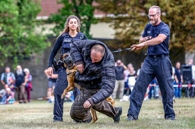 75 Jahre Bundespolizei - Bürgerfest der Bundespolizeidirektion Hannover Diensthundvorführung von Clint : Der Polizeihund stellt einen angreifenden Täter. Hannover Bundespolizeidirektion Hannover, Niedersachsen, Region Hannover Germany