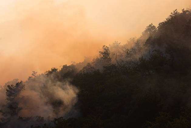 RUSSIA, REPUBLIC OF CRIMEA - AUGUST 30, 2026: Smoke billows from a burning forest on the slopes of the Chishma-Kaya Plateau in the vicinity of Mangul-Kale in the Bakhchisarai District. Maxim Churusov TASS 96853495