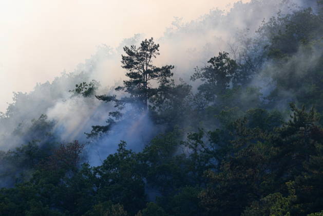 RUSSIA, REPUBLIC OF CRIMEA - AUGUST 30, 2026: Smoke billows from a burning forest on the slopes of the Chishma-Kaya Plateau in the vicinity of Mangul-Kale in the Bakhchisarai District Russia - ZUMAt113 20260830_zaa_t113_352 Copyright: xMaximxChurusovx