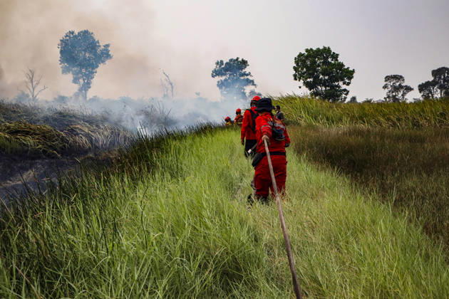 Peatland Fire In South Sumatra A Manggala Agni firefighter works to extinguish a peatland fire in Arisanjaya Village, Ogan Ilir, South Sumatra, on August 30, 2026. Ogan Ilir, South Sumatra Indonesia  Copyright: xSigitxPrasetyax originalFilename: prasetya-notitle260830_npJba.jpg