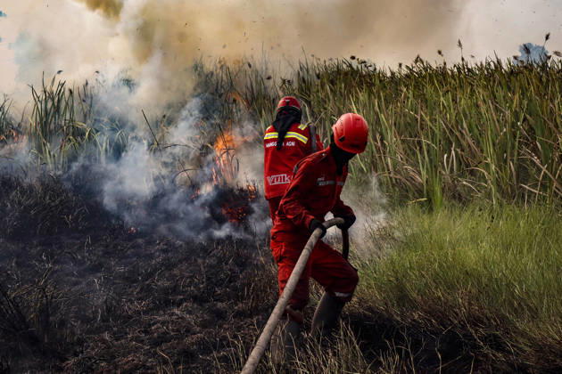 Peatland Fire In South Sumatra A Manggala Agni firefighter works to extinguish a peatland fire in Arisanjaya Village, Ogan Ilir, South Sumatra, on August 30, 2026. Ogan Ilir, South Sumatra Indonesia  Copyright: xSigitxPrasetyax originalFilename: prasetya-notitle260830_npZ5z.jpg