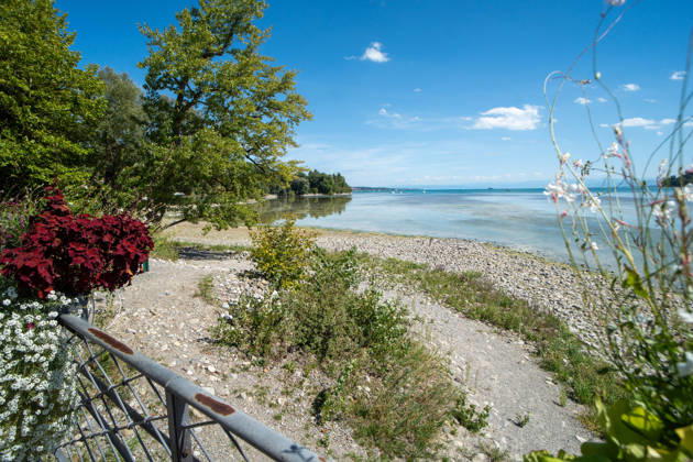 Bodensee-Waserstand so niedrig wie selten: Riesige Schlickflächen an der Insel Mainau liegen frei - Bald Wat-Touren möglich? 7aIMG: 0571406 KONSTANZ INSEL MAINAU: Historisches Niedrigwasser am Bodensee - Große Schlickflächen rund um die Blumeninsel liegen frei Der Bodensee führt in diesem Sommer außergewöhnlich wenig Wasser, und rund um die Insel Mainau bei Konstanz werden die Folgen besonders eindrucksvoll sichtbar. Aktuelle Aufnahmen vom Sonntagnachmittag (30.08.2026) zeigen großflächig trockengefallene Uferbereiche und Schlickflächen sowie die ungewöhnlich weit zurückgewichene Wasserlinie. Der Sommer 2026 hat am Bodensee bereits mehrere historische Niedrigwassermarken gebracht. Am Pegel Konstanz wurden Mitte August lediglich 275 Copyright: 7aktuell.dex xOskarxEyb 0571406 20260831_7a_BodenseeLow_571406