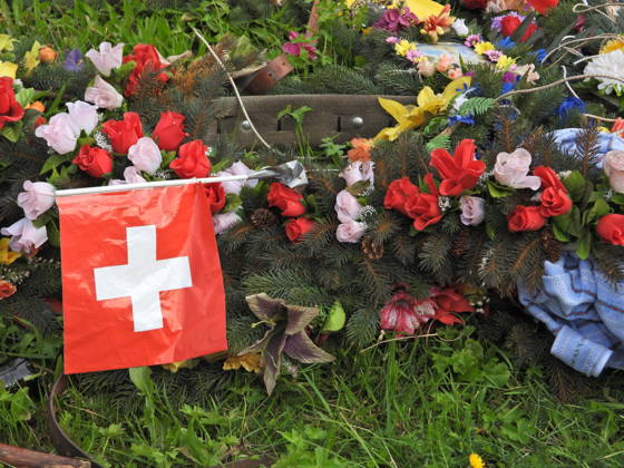 02.09.2026 Schweiz Alpabtrieb,Alpabzug. Der Alpabtrieb nach Wassen wird 2026 nicht durchgefuehrt wegen einer Grossbaustelle. Bild. Kuehe der Alp Hinterfeld laufen daher nur bis Meiental Kanton URI . Blumenschmuck und Schweizerfahne.