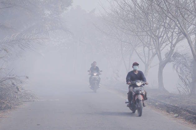 Forest and Peatland Fire in Ogan Ilir, South Sumatra Residents ride motorcycles through smoke from a forest and peatland fire in Kebun Raya Sriwijaya, North Inderalaya, Ogan Ilir, South Sumatra, Indonesia, on September 5, 2026. South Sumatra Indonesia  Copyright: xSigitxPrasetyax originalFilename: prasetya-notitle260905_npgk3.jpg